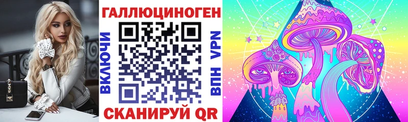 Псилоцибиновые грибы мухоморы  магазин  наркотиков  MEGA маркетплейс  Заинск 